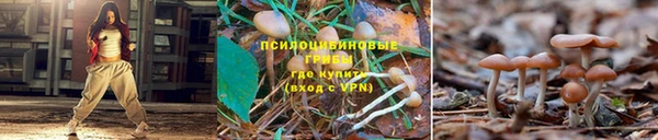 дурь Переславль-Залесский